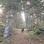 Hideaway I